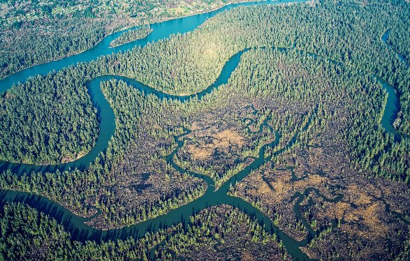 Photo of aerial view of Chehalis River