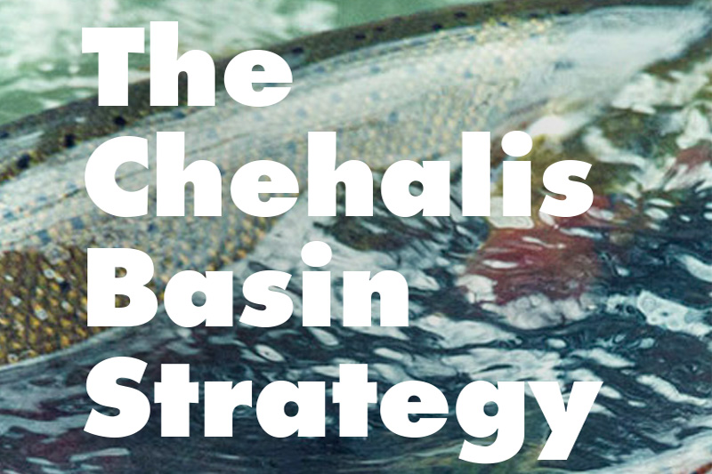 Cover image from the Chehalis Basin Strategy backgrounder