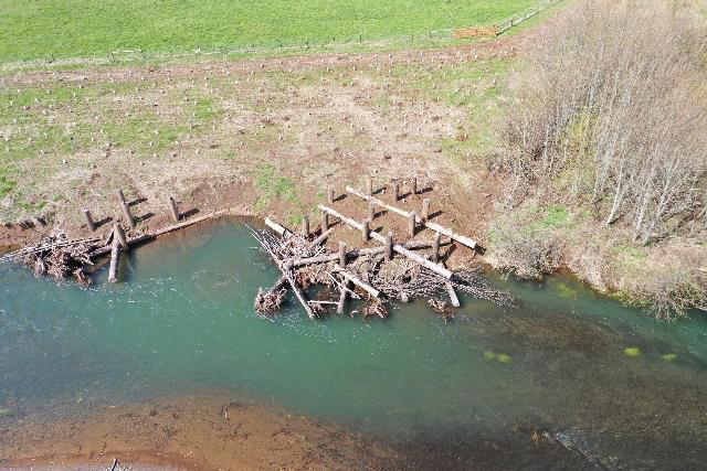 An aereal photo of the completed log jam: Vertical tree trunks driven into the riverbank soil help anchor horizontal trunks with attached root wads. Behind the logjam, trees and shrubs have been planted along the riverbank.
