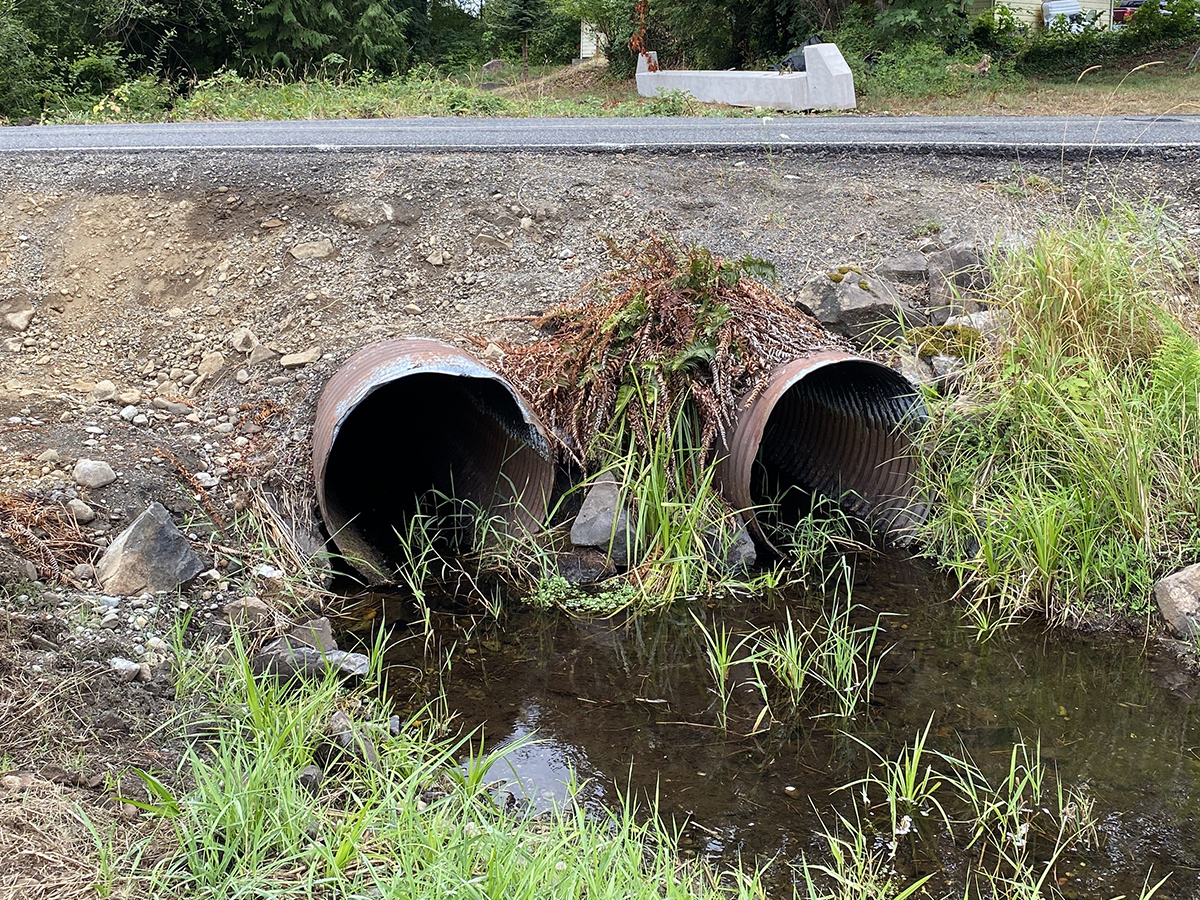 Before photo showing the change at the Wildcat Creek County Line Road Fish Barrier Correction project. The first photos shows undersized culverts beneath the road. The second photos shows a channel-spanning bridge with the traveling metal Happy Fish sculpture.